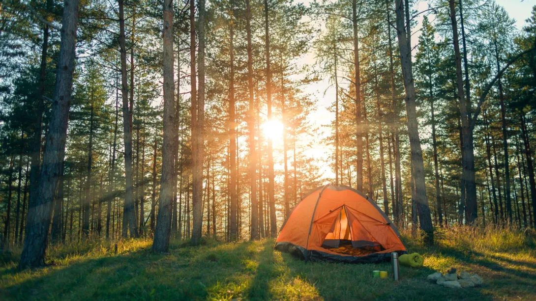 a tent with  a sunny background